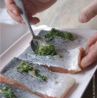 12_-25C5-2581oso-25C5-259B-z-pesto