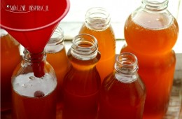 Syrop z kwiatów czarnego bzu + etykiety