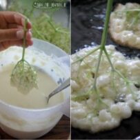 1_Kwiaty-czarnego-bzu-smazone-w-ciescie