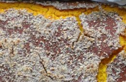 Ciasto drożdżowe (bez glutenu)