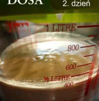 5_ Dosa